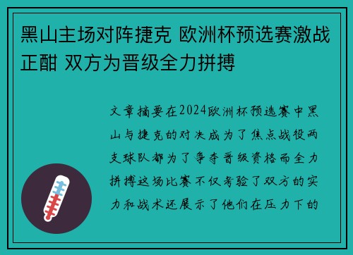 黑山主场对阵捷克 欧洲杯预选赛激战正酣 双方为晋级全力拼搏