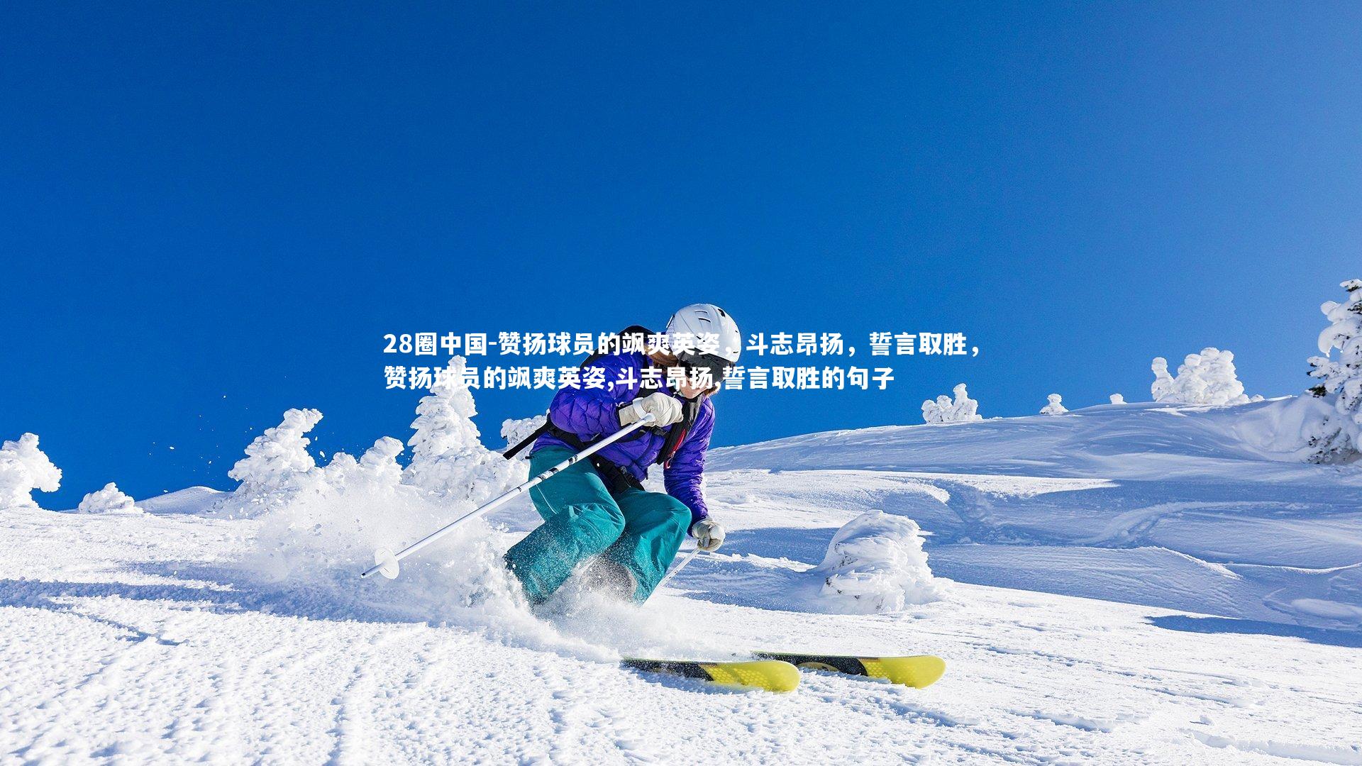 28圈中国-赞扬球员的飒爽英姿，斗志昂扬，誓言取胜，赞扬球员的飒爽英姿,斗志昂扬,誓言取胜的句子