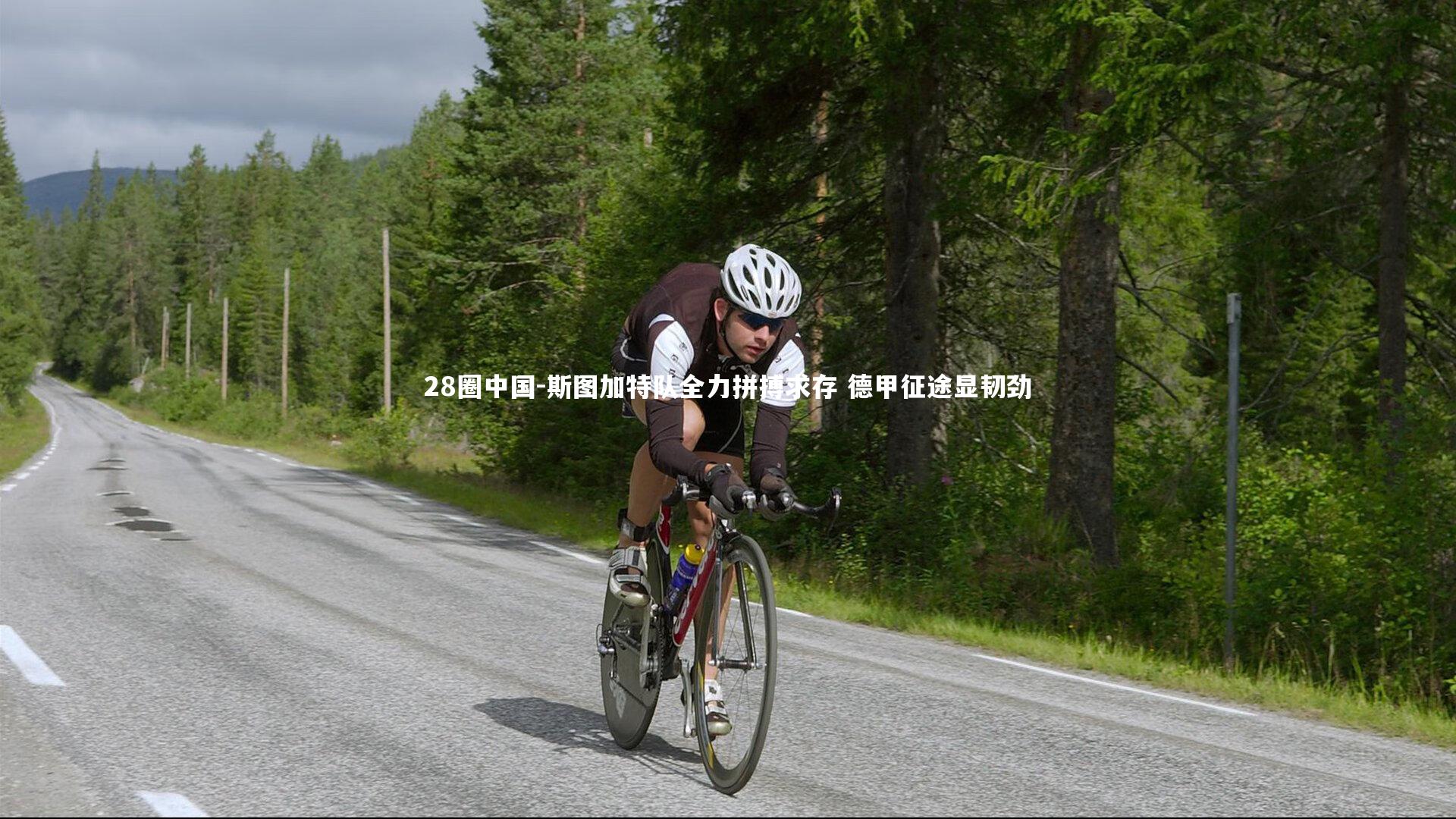 28圈中国-斯图加特队全力拼搏求存 德甲征途显韧劲