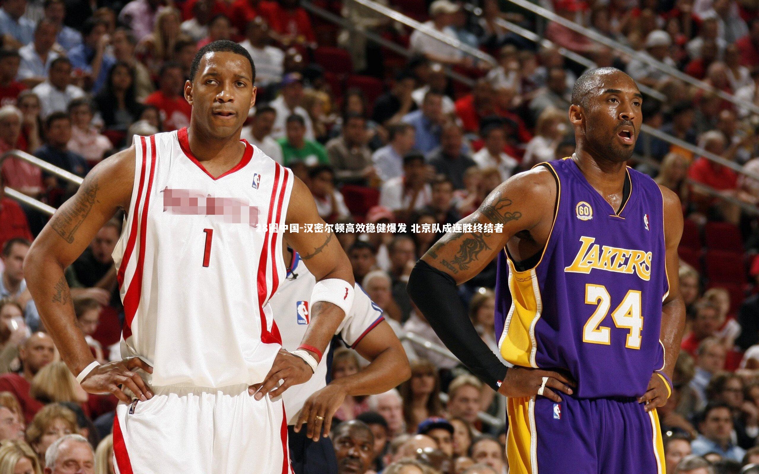 28圈中国-汉密尔顿高效稳健爆发 北京队成连胜终结者